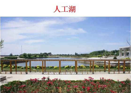 中農(nóng)聯(lián)合生物科技產(chǎn)業(yè)園