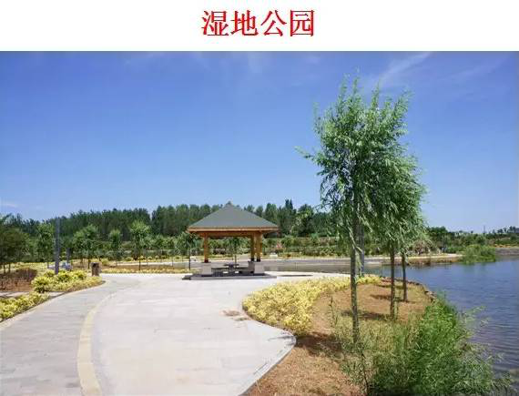 1-19121615014GM.png